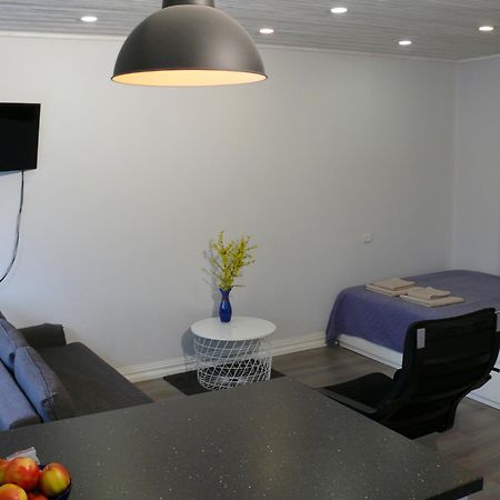 Alytus Ziburio Studio Exteriör bild