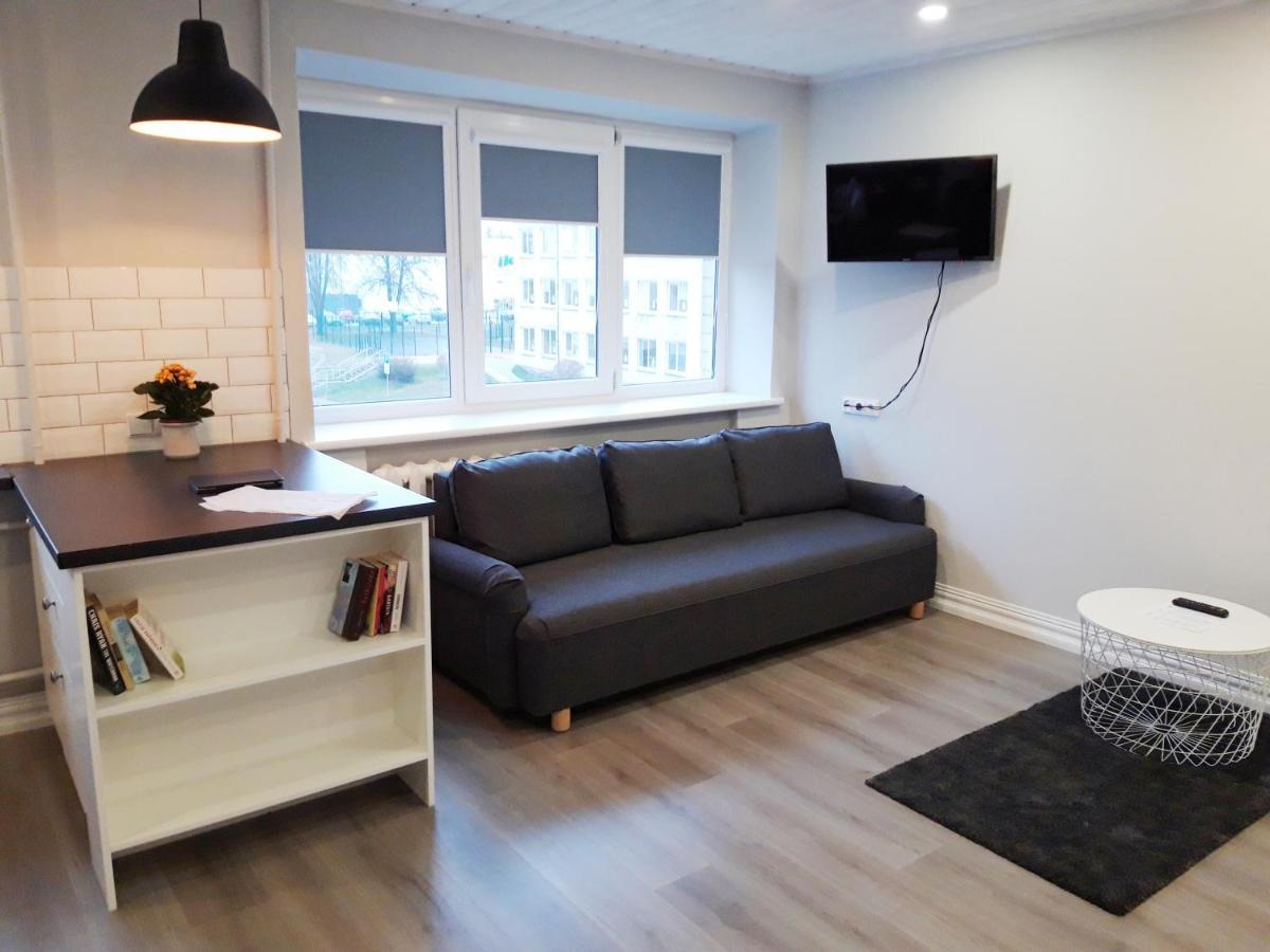Alytus Ziburio Studio Exteriör bild