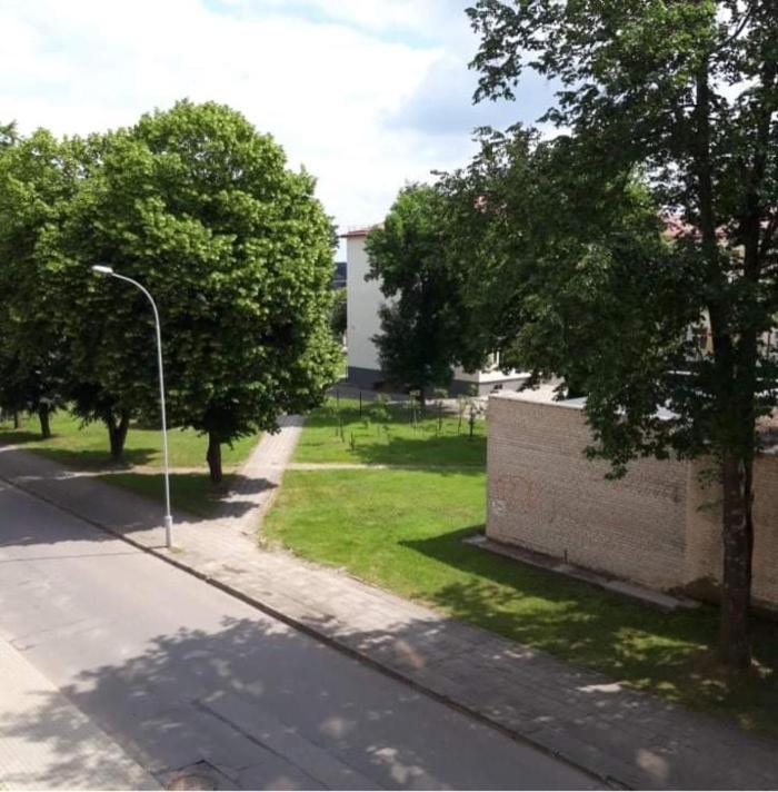 Alytus Ziburio Studio Exteriör bild